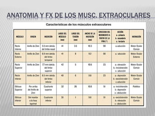ANATOMIA Y FX DE LOS MUSC. EXTRAOCULARES
 