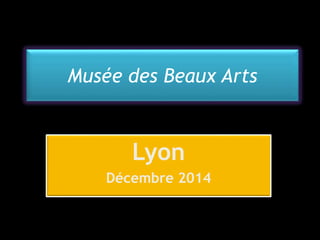 Musée des Beaux Arts 
Lyon 
Décembre 2014 
 