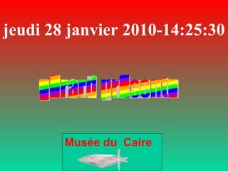 jeudi 28 janvier 2010 - 14:25:10 Musée du  Caire 
