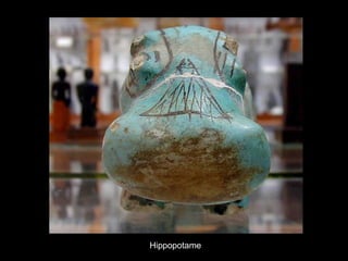 Hippopotame
 