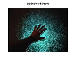 Expérience d’Erasme
 