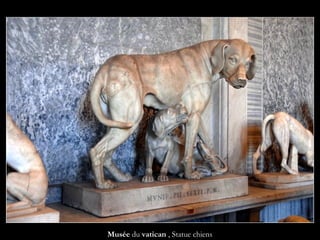 Musée du vatican , Statue chiens
 