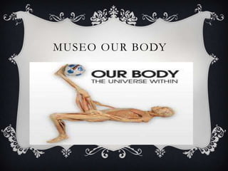 Museo ourbody 