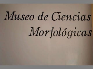 Museo de Ciencias Morfológicas