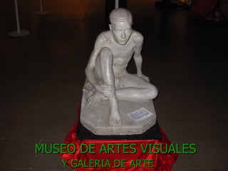 MUSEO DE ARTES VISUALES   Y GALERIA DE ARTE 