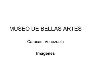 MUSEO DE BELLAS ARTES Caracas, Venezuela Imágenes 