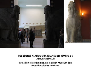 LOS LEONES ALADOS GUARDIANES DEL TEMPLO DE ASHURNASIPAL II Estos son los originales. En el British Museum son reproducciones de estos.