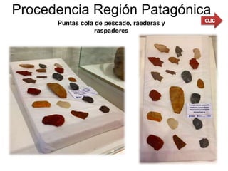 Procedencia Región Patagónica
Puntas cola de pescado, raederas y
raspadores
 
