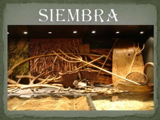 Museo bellas artes oficios