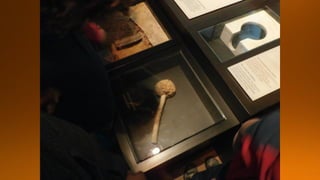 Museo caja granada 2º ciclo 2016