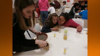 Museo caja granada 2º ciclo 2016