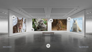 Siguiente salaSala anterior
 