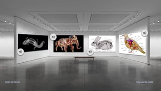 Siguiente salaSala anterior
 