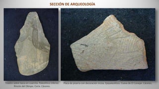 Triedro sobre lasca en cuarcita. Paleolítico Inferior.
Rincón del Obispo. Coria. Cáceres.
Placa de pizarra con decoración incisa. Epipaleolítico. Cueva de El Conejar. Cáceres.
SECCIÓN DE ARQUEOLOGÍA
 