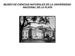 MUSEO DE CIENCIAS NATURALES DE LA UNIVERSIDAD
             NACIONAL DE LA PLATA
 