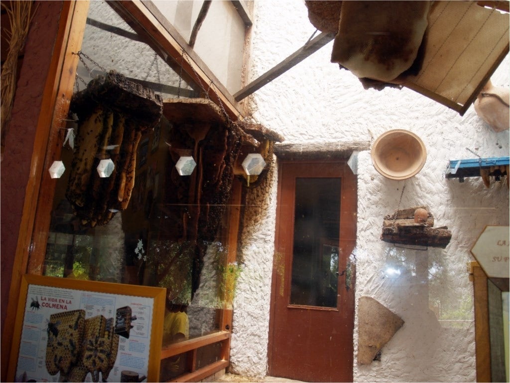 Museo de la miel Museo de la miel