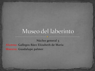 Núcleo general 3
Alumna: Gallegos Báez Elizabeth de María
Maestra: Guadalupe palmer
 
