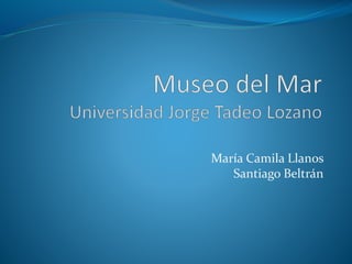 María Camila Llanos 
Santiago Beltrán 
 