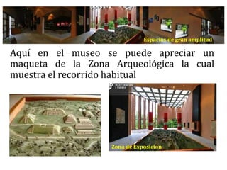 Aquí en el museo se puede apreciar un
maqueta de la Zona Arqueológica la cual
muestra el recorrido habitual
Espacios de gran amplitud
Zona de Exposicion
 