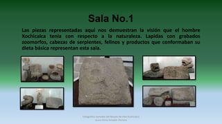 Sala No.1
Las piezas representadas aquí nos demuestran la visión que el hombre
Xochicalca tenia con respecto a la naturaleza. Lapidas con grabados
zoomorfos, cabezas de serpientes, felinos y productos que conformaban su
dieta básica representan esta sala.
Fotografías tomadas del Museo de sitio Xochicalco
Laura Elena Amador Herrera
 