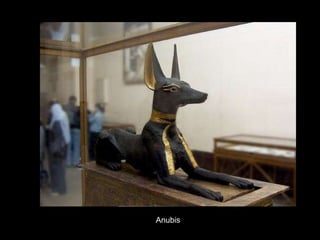 Anubis 