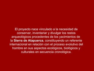 El proyecto nace vinculado a la necesidad de
conservar, inventariar y divulgar los restos
arqueológicos procedentes de los yacimientos de
la Sierra de Atapuerca, constituyendo un referente
internacional en relación con el proceso evolutivo del
hombre en sus aspectos ecológicos, biológicos y
culturales en secuencia cronológica.

 