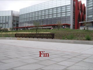 Museo evoluciónhumana