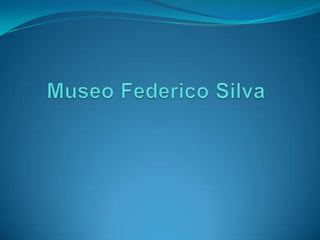Museo Federico Silva