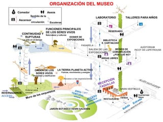 Comedor Aseos
Ascensor
Sentido de la
circulación Escaleras
LABORATORIO
RESERVADO
TALLERES PARA NIÑOS
BIBLIOTECA
E. CARTAILHAC
AUDITORIUM
PICOT DE LAPEYROUSEMEDIOS DE
COMUNICACIÓN
¿POR QUÉ NO?
ÁREAS LIBRES
SALIDA DE LAS
EXPOSICIONES
PASARELA
DOSIER DE
EXPOSICIONES
FUNCIONES PRINCIPALES
DE LOS SERES VIVOS
Naturaleza y culturas
CONTINUIDAD Y
RUPTURAS
La vida en el tiempo
ORDEN DE LOS
SERES VIVOS
Diversidad y clasificación
LA TIERRA PLANETA ACTIVO
Fuerzas, movimientos y energías
Acceso a las exposiciones
INVERNADEROS
ACCESO
Ordenar para
conocer
Muro de los esqueletos EXPOTEMPORALsótano
JARDÍN BOTÁNICO HENRI GAUSSEN
ACCESO
JARDÍN E
INVERNADEROS
RESTAURANTE
TIENDA
Entrada
Salida
GRAN VESTÍBULO
Guardarropa
Aseos
RECEPCIÓN
TAQUILLAS
ORGANIZACIÓN DEL MUSEO
 