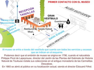 GRAN
VESTÍBULO
RECEPCIÓN
TAQUILLAS
Guardarropa
Aseos
Entrada
Salida
Restaurante
Moaï
Tienda KetzalAcceso al
jardín e
invernaderos
Al museo se entra a través del vestíbulo que cuenta con todos los servicios y accesos
que se indican en el esquema.
Acceso a las
exposiciones
Podemos decir que el embrión de museo se origina en 1796, cuando el naturalista
Philippe Picot de Lapeyrouse, director del Jardín de las Plantas del Gabinete de Historia
Natural de Toulouse instala sus colecciones en el antiguo monasterio de las Carmelitas
Descalzas.
En 1865 se abrió al público en su localización actual, siendo el director Édouard Filhol.
PRIMER CONTACTO CON EL MUSEO
 