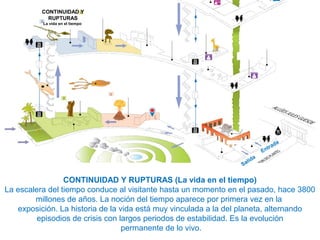 CONTINUIDAD Y
RUPTURAS
La vida en el tiempo
Entrada
Salida
CONTINUIDAD Y RUPTURAS (La vida en el tiempo)
La escalera del tiempo conduce al visitante hasta un momento en el pasado, hace 3800
millones de años. La noción del tiempo aparece por primera vez en la
exposición. La historia de la vida está muy vinculada a la del planeta, alternando
episodios de crisis con largos periodos de estabilidad. Es la evolución
permanente de lo vivo.
 