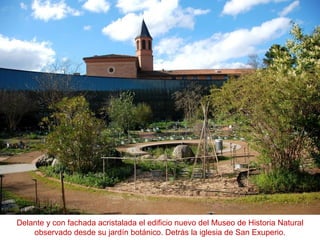 Delante y con fachada acristalada el edificio nuevo del Museo de Historia Natural
observado desde su jardín botánico. Detrás la iglesia de San Exuperio.
 
