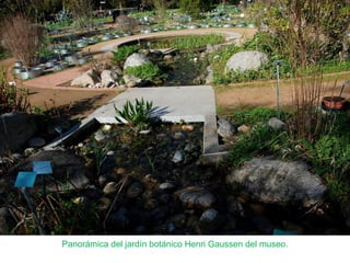 Panorámica del jardín botánico Henri Gaussen del museo.
 