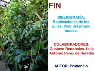FIN
BIBLIOGRAFÍA:
Explicaciones de los
guías. Web del propio
museo.
AUTOR: Prudencio.
COLABORADORES:
Gustavo Renobales. Luís
Antonio Pérez de Heredia
 
