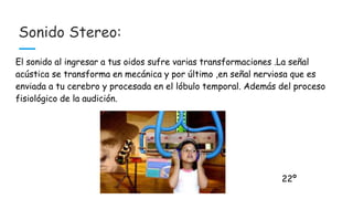 Sonido Stereo:
El sonido al ingresar a tus oidos sufre varias transformaciones .La señal
acústica se transforma en mecánica y por último ,en señal nerviosa que es
enviada a tu cerebro y procesada en el lóbulo temporal. Además del proceso
fisiológico de la audición.
22º
 