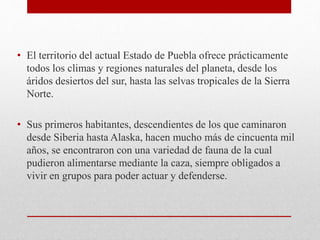 • El territorio del actual Estado de Puebla ofrece prácticamente
todos los climas y regiones naturales del planeta, desde los
áridos desiertos del sur, hasta las selvas tropicales de la Sierra
Norte.
• Sus primeros habitantes, descendientes de los que caminaron
desde Siberia hasta Alaska, hacen mucho más de cincuenta mil
años, se encontraron con una variedad de fauna de la cual
pudieron alimentarse mediante la caza, siempre obligados a
vivir en grupos para poder actuar y defenderse.
 