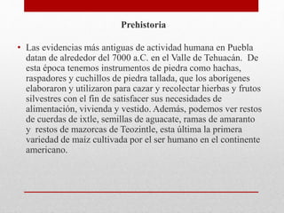 Prehistoria
• Las evidencias más antiguas de actividad humana en Puebla
datan de alrededor del 7000 a.C. en el Valle de Tehuacán. De
esta época tenemos instrumentos de piedra como hachas,
raspadores y cuchillos de piedra tallada, que los aborígenes
elaboraron y utilizaron para cazar y recolectar hierbas y frutos
silvestres con el fin de satisfacer sus necesidades de
alimentación, vivienda y vestido. Además, podemos ver restos
de cuerdas de ixtle, semillas de aguacate, ramas de amaranto
y restos de mazorcas de Teozintle, esta última la primera
variedad de maíz cultivada por el ser humano en el continente
americano.
 