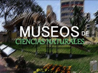 Museos del Peru