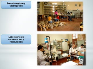 Área de registro y
catalogación
Laboratorio de
conservación y
restauración
 