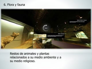 6. Flora y fauna
Restos de animales y plantas
relacionados a su medio ambiente y a
su medio religioso.
 