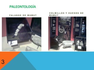 Desierto, migración y frontera