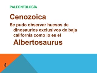 100 años, 100 fotografías, 100 fotógrafos1