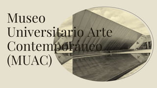 Museo
Universitario Arte
Contemporáneo
(MUAC)
 