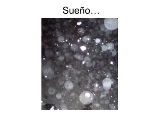 Sueño… 
