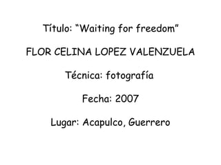Título: “Waiting for freedom” FLOR CELINA LOPEZ VALENZUELA  Técnica: fotografía     Fecha: 2007   Lugar: Acapulco, Guerrero 