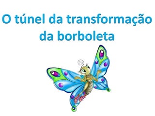O túnel da transformação
da borboleta

 
