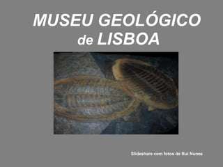 MUSEU GEOLÓGICO   de  LISBOA Slideshare com fotos de Rui Nunes 