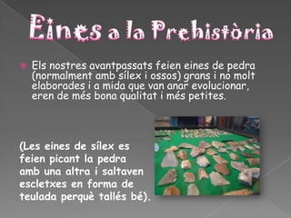    Els nostres avantpassats feien eines de pedra
    (normalment amb sílex i ossos) grans i no molt
    elaborades i a mida que van anar evolucionar,
    eren de més bona qualitat i més petites.



(Les eines de sílex es
feien picant la pedra
amb una altra i saltaven
escletxes en forma de
teulada perquè tallés bé).
 