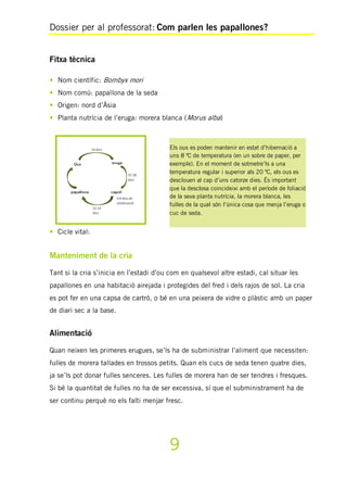 Dossier per al professorat: Com parlen les papallones?
9
Els ous es poden mantenir en estat d’hibernació a
uns 8 ºC de temperatura (en un sobre de paper, per
exemple). En el moment de sotmetre’ls a una
temperatura regular i superior als 20 ºC, els ous es
desclouen al cap d’uns catorze dies. És important
que la desclosa coincideixi amb el període de foliació
de la seva planta nutrícia, la morera blanca, les
fulles de la qual són l’única cosa que menja l’eruga o
cuc de seda.
Fitxa tècnica
• Nom científic: Bombyx mori
• Nom comú: papallona de la seda
• Origen: nord d’Àsia
• Planta nutrícia de l’eruga: morera blanca (Morus alba)
• Cicle vital:
Manteniment de la cria
Tant si la cria s’inicia en l’estadi d’ou com en qualsevol altre estadi, cal situar les
papallones en una habitació airejada i protegides del fred i dels rajos de sol. La cria
es pot fer en una capsa de cartró, o bé en una peixera de vidre o plàstic amb un paper
de diari sec a la base.
Alimentació
Quan neixen les primeres erugues, se’ls ha de subministrar l’aliment que necessiten:
fulles de morera tallades en trossos petits. Quan els cucs de seda tenen quatre dies,
ja se’ls pot donar fulles senceres. Les fulles de morera han de ser tendres i fresques.
Si bé la quantitat de fulles no ha de ser excessiva, sí que el subministrament ha de
ser continu perquè no els falti menjar fresc.
 