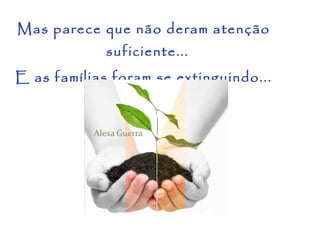Mas parece que não deram atenção suficiente...  E as famílias foram se extinguindo... 